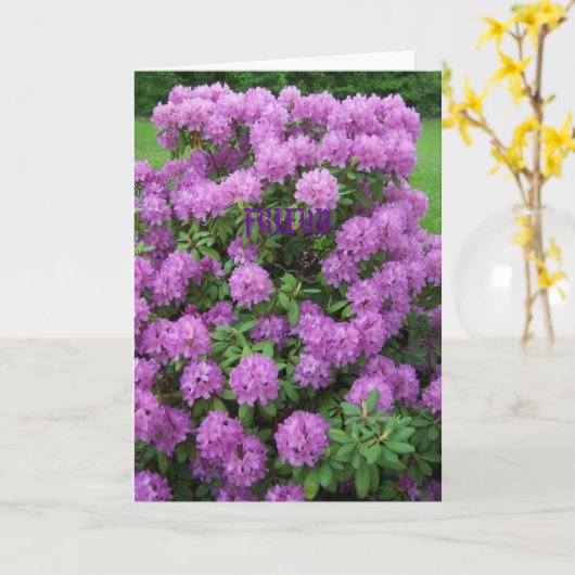Rododendron, Vriend Kaart (Gele Bloem)