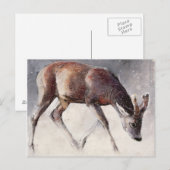 Roe Buck Winter 2000 Briefkaart (Voorkant / Achterkant)