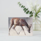 Roe Buck Winter 2000 Briefkaart (Staand voorkant)