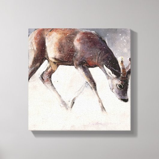 Roe Buck Winter 2000 Canvas Afdruk (Voorkant)