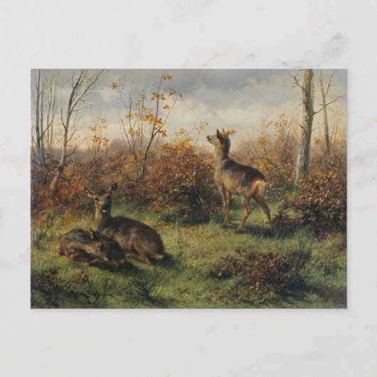 Roe Deer door Rosa Bonheur Briefkaart (Voorkant)