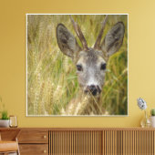Roe Deer in Tarweveld - Natuur Fotografie Print (Insitu (Woonkamer))