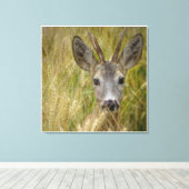 Roe Deer in Tarweveld - Natuur Fotografie Print (Insitu (Houten vloer))