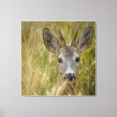 Roe Deer in Tarweveld - Natuur Fotografie Print (Voorkant)