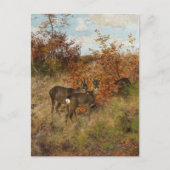 Roe Deer Met Herfstbladeren Wildlife Briefkaart (Voorkant)