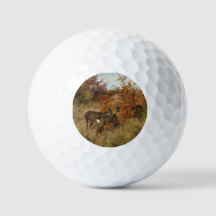 Roe Deer Met Herfstbladeren Wildlife Golfballen