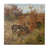 Roe Deer Met Herfstbladeren Wildlife Tegeltje (Voorkant)