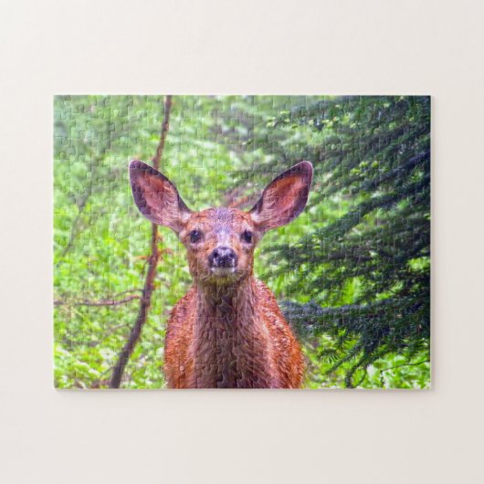 Roe Deer Montana. Legpuzzel (Horizontaal)