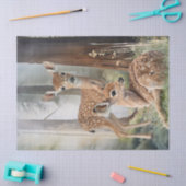Roe Deer Redwood Forest Woodland Waterverf Tissuepapier (Craft)
