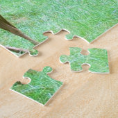 Roe Deer Stag Posing Legpuzzel (Zijkant)