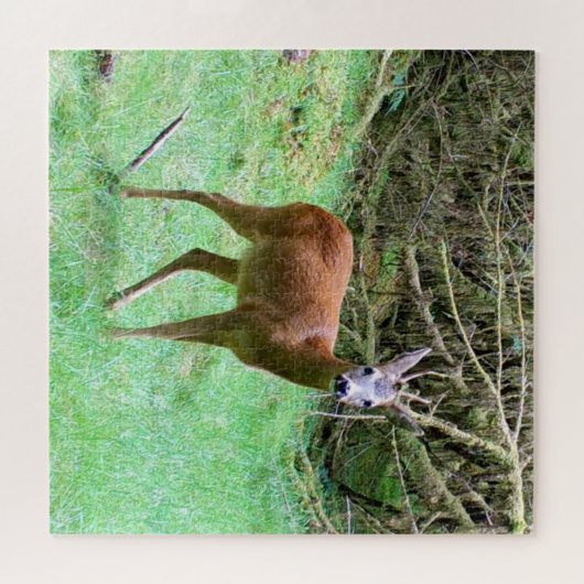 Roe Deer Stag Posing Legpuzzel (Horizontaal)