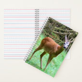 Roe Deer Stag Posing Notitieboek (Binnen)