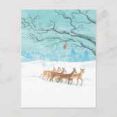 Roe Deer Winter Briefkaart (Voorkant)