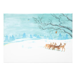 Roe-herder Winter Foto Afdruk