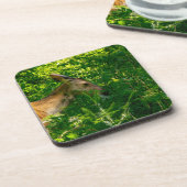 Roe herten in het bos. bier onderzetter (Linkerzijde)