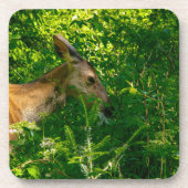 Roe herten in het bos. bier onderzetter (Voorkant)