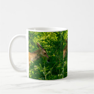 Roe herten in het bos. koffiemok