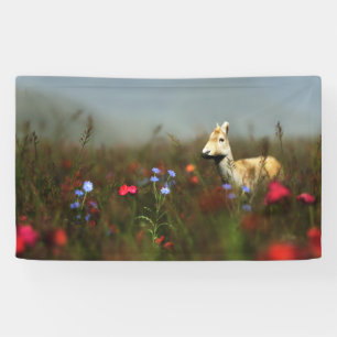 Roe in een beemdbanner spandoek