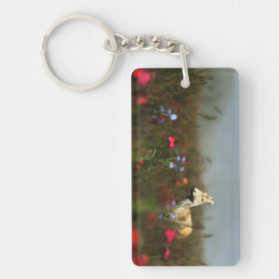 Roe in een beemduw-acrylSleutelhanger Sleutelhanger