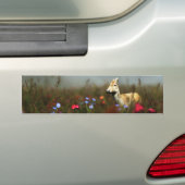 Roe in een Bumpersticker van de Bewei (Op auto)