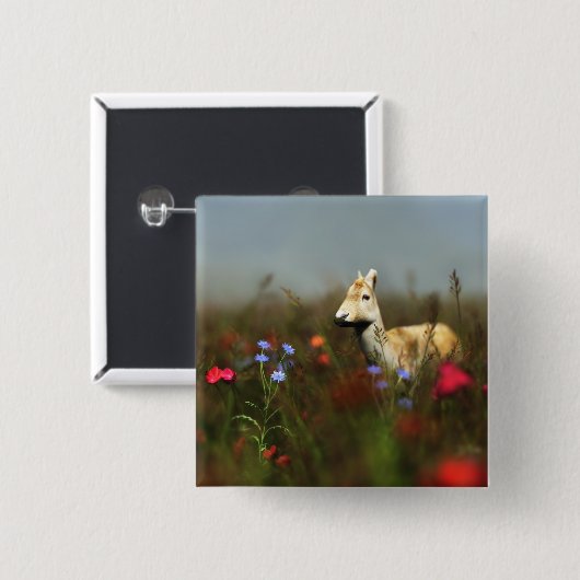 Roe in een Button van de Bewei (Voorkant /achterkant)