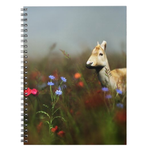 Roe in een Notitieboek van de Bewei (Voorkant)