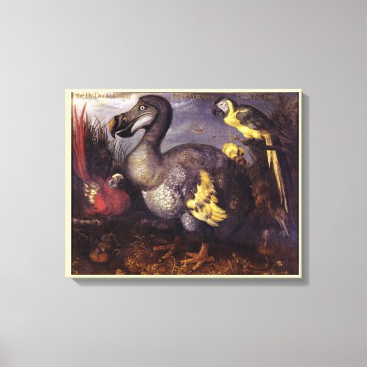 Roelant Savery Saverys Dodo Canvas Afdruk (Voorkant)
