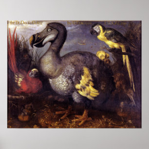  Roelant Savery Saverys Dodo Poster