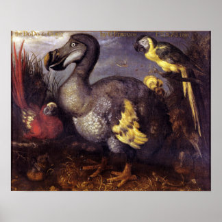  Roelant Savery Saverys Dodo Poster