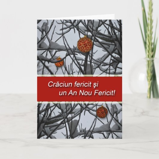 Roemeens kerstfeest, Ornamenten in de sneeuw Feestdagen Kaart (Voorkant)