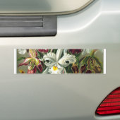 roemeense datum bloesems rsvp kleurrijke chic bumpersticker (Op auto)