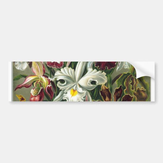 roemeense datum bloesems rsvp kleurrijke chic bumpersticker (Voorkant)