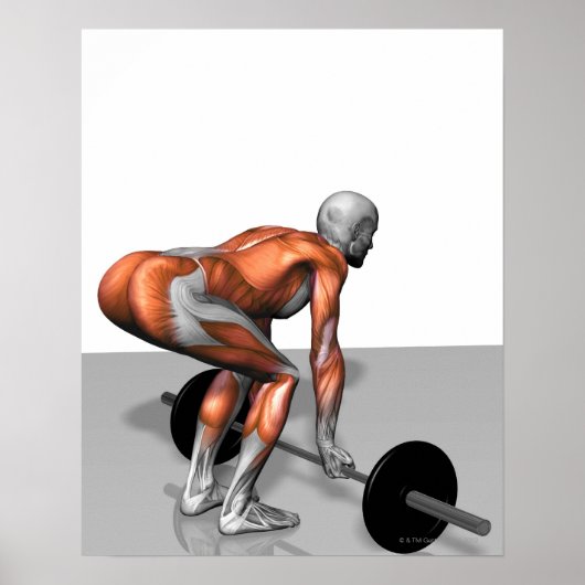 Roemeense deadlift 2 poster (Voorkant)