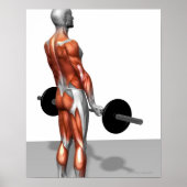 Roemeense deadlift poster (Voorkant)