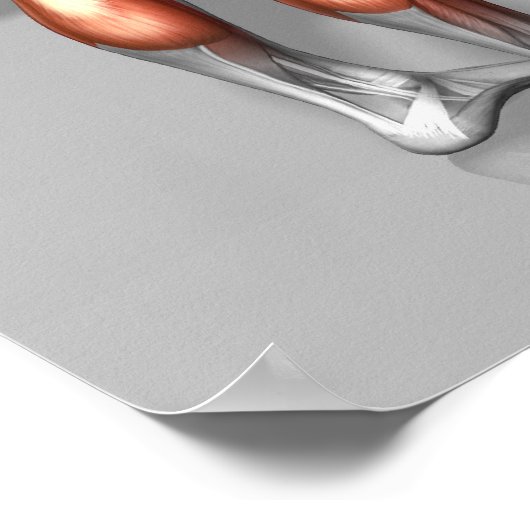 Roemeense deadlift poster (Hoek)