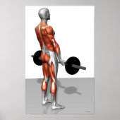 Roemeense deadlift poster (Voorkant)