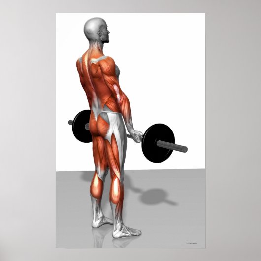 Roemeense deadlift poster (Voorkant)