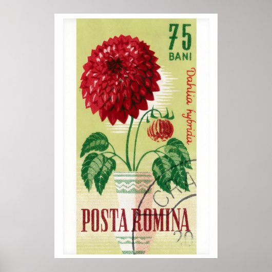 Roemeense postzegelafdruk rode dahlia bloem poster (Voorkant)