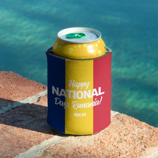 Roemeense staatsvlag blikjeskoeler (Insitu Zwembad)