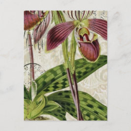roemeense tropische franse botanische orchidee briefkaart