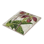 roemeense tropische franse botanische orchidee tegeltje (Zijkant)