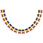 Roemeense vlag en partij Roemenië banners/bruiloft Vlaggetjes (Alle)