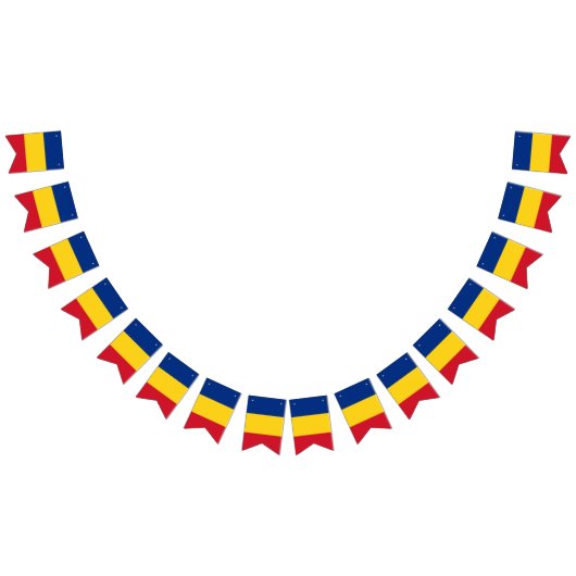 Roemeense vlag en partij Roemenië banners/bruiloft Vlaggetjes (Alle)