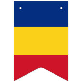 Roemeense vlag en partij Roemenië banners/bruiloft Vlaggetjes (Tweede vlag)