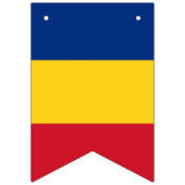 Roemeense vlag en partij Roemenië banners/bruiloft Vlaggetjes (Eerste vlag)