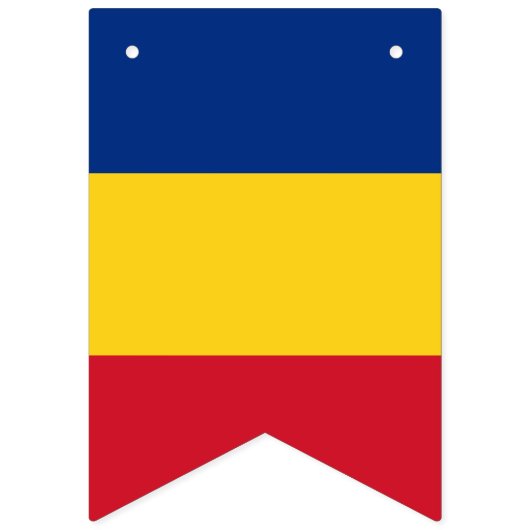 Roemeense vlag en partij Roemenië banners/bruiloft Vlaggetjes (Eerste vlag)