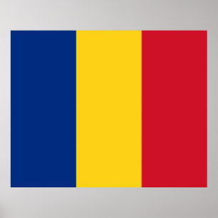 Roemeense vlag poster