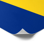 Roemeense vlag poster (Hoek)