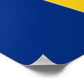 Roemeense vlag poster (Hoek)