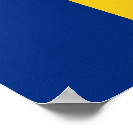 Roemeense vlag poster (Hoek)